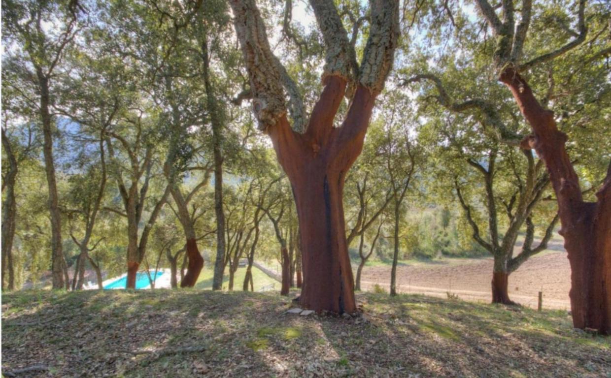 Gites Carbuccia En Corse Avec Piscine Chauffee Bagian luar foto