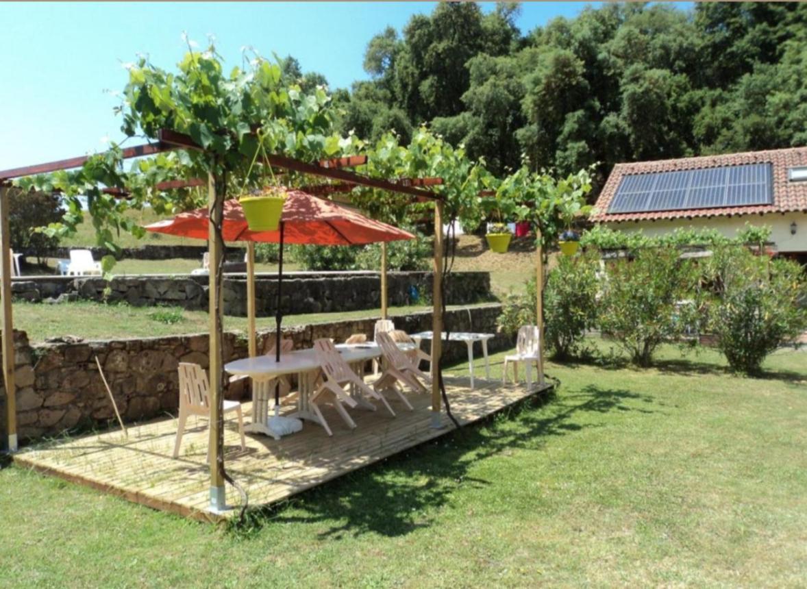 Gites Carbuccia En Corse Avec Piscine Chauffee Bagian luar foto