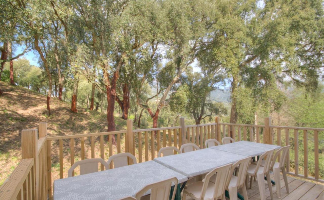 Gites Carbuccia En Corse Avec Piscine Chauffee Bagian luar foto