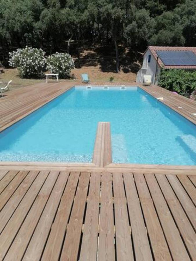 Gites Carbuccia En Corse Avec Piscine Chauffee Bagian luar foto