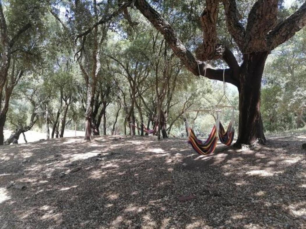 Gites Carbuccia En Corse Avec Piscine Chauffee Bagian luar foto