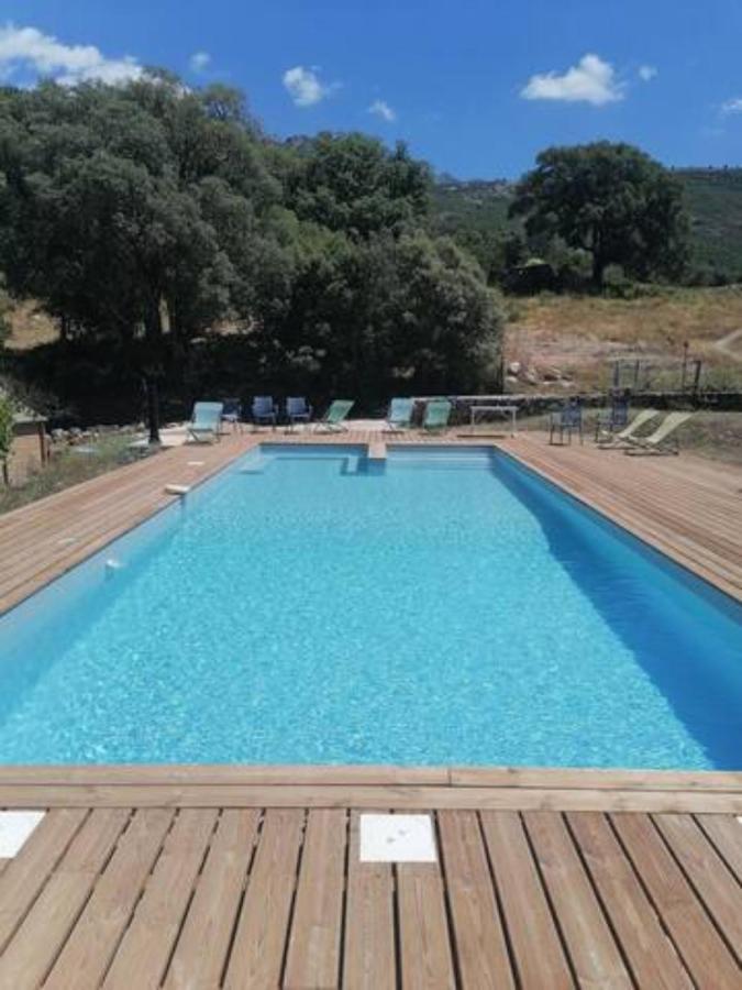 Gites Carbuccia En Corse Avec Piscine Chauffee Bagian luar foto