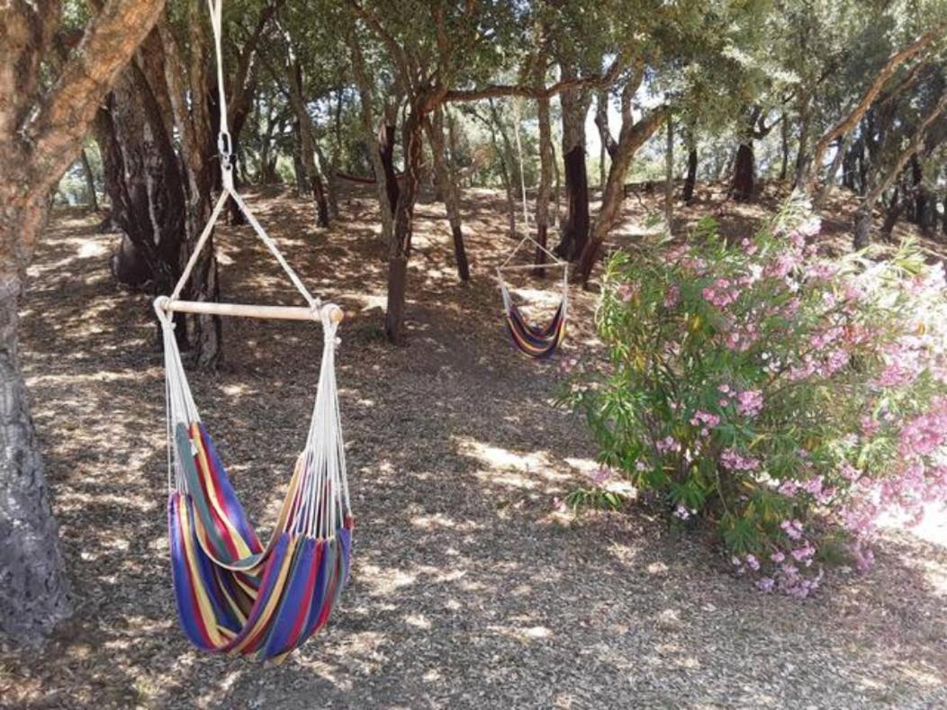 Gites Carbuccia En Corse Avec Piscine Chauffee Bagian luar foto